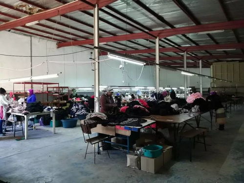 28歲,我在南非創(chuàng)業(yè)和生娃