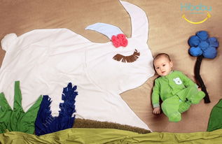 邯鄲hibaby兒童攝影讓寶寶滿月照不再平庸