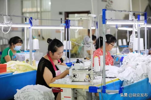 山海呼應 一竹一企一園 帶動群眾增收脫貧