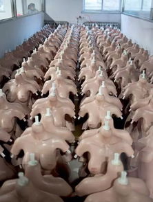 上海國際成人展 仿真娃娃與真人難辨真假