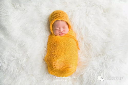 2018年個性臺歷免費贈送 趙藝兒童攝影