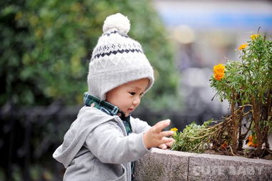 皇家愛貝兒童攝影198元兒童攝