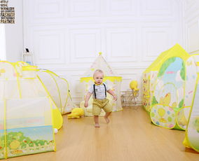 兒童帳篷玩具拍攝 毛絨嬰兒玩具公仔產(chǎn)品淘寶攝影女裝鞋子童裝積木食品靜物拍攝服務(wù)