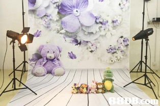 人像攝影的搜尋結果 攝影服務 攝影師 婚紗攝影 婚宴攝影 家庭攝影服務 商品攝影 人像攝影 婚禮錄影 兒童攝影 影畢業(yè)相 攝影服務 攝影師 婚紗攝影 婚宴攝影