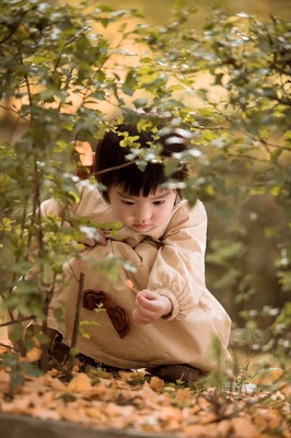 銀杏樹下的童年 青檸檬兒童攝影的人像藝術(shù)