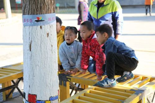 海港區(qū)遛娃拍照勝地 美如童話的兒童攝影天堂